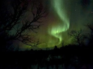 IMG_9758