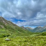IMG_3721