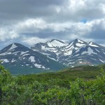 IMG_3730