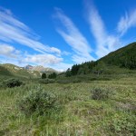 IMG_3746