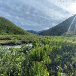IMG_3751
