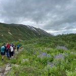 IMG_3758
