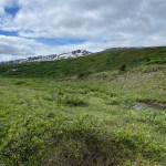 IMG_3763