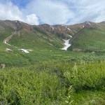 IMG_3773