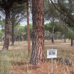 img_0042-1