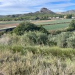 img_9646-1