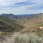 img_9652-1