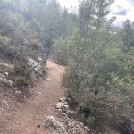 img_9755-1