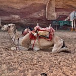 img_1101-1