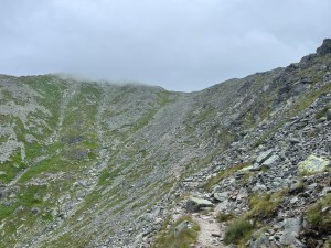 IMG_9205