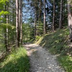 IMG_9270