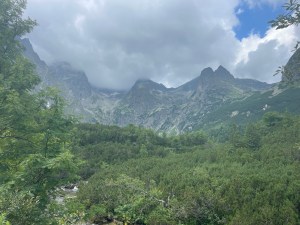 img_9029-1