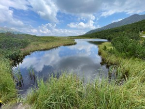 img_9041-1