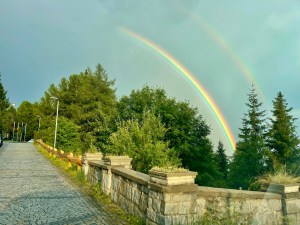 img_9135