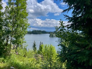 img_9241-1