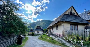img_9256