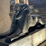 IMG_2531